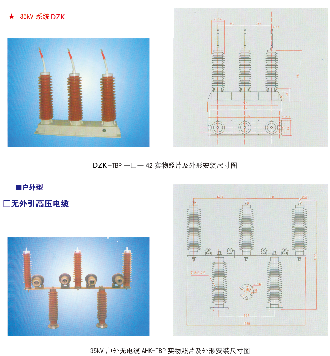 DZK-TBP三相組合式過電壓保護(hù)器(圖6)